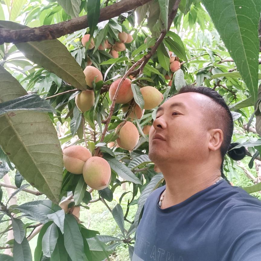 吕哥！您好我好大家好