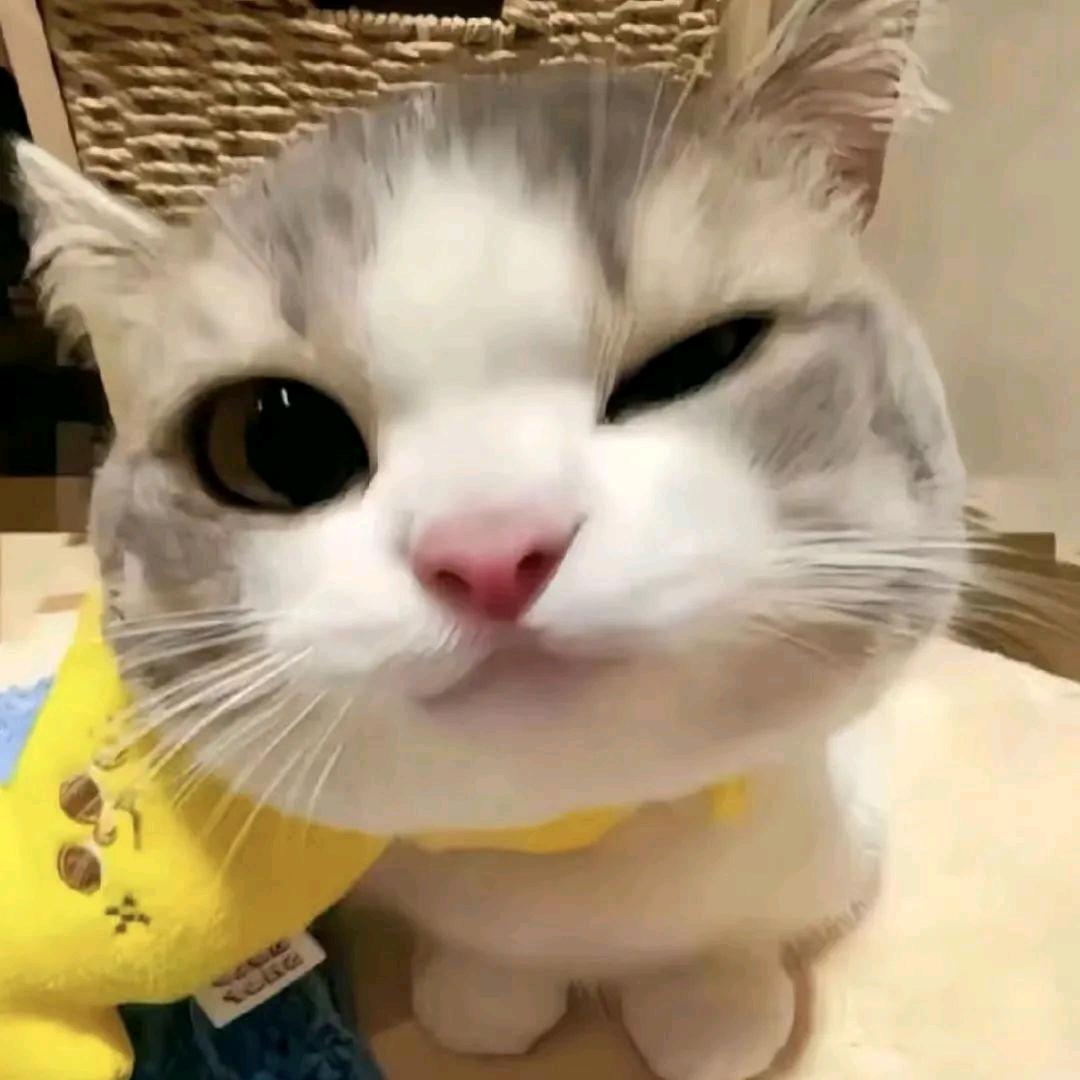 yizibb