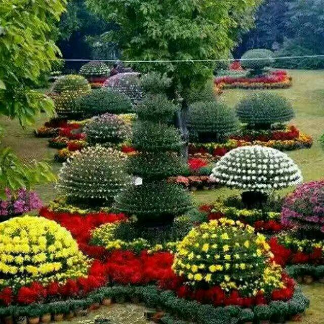 你不醉我不醉路边哪个睡