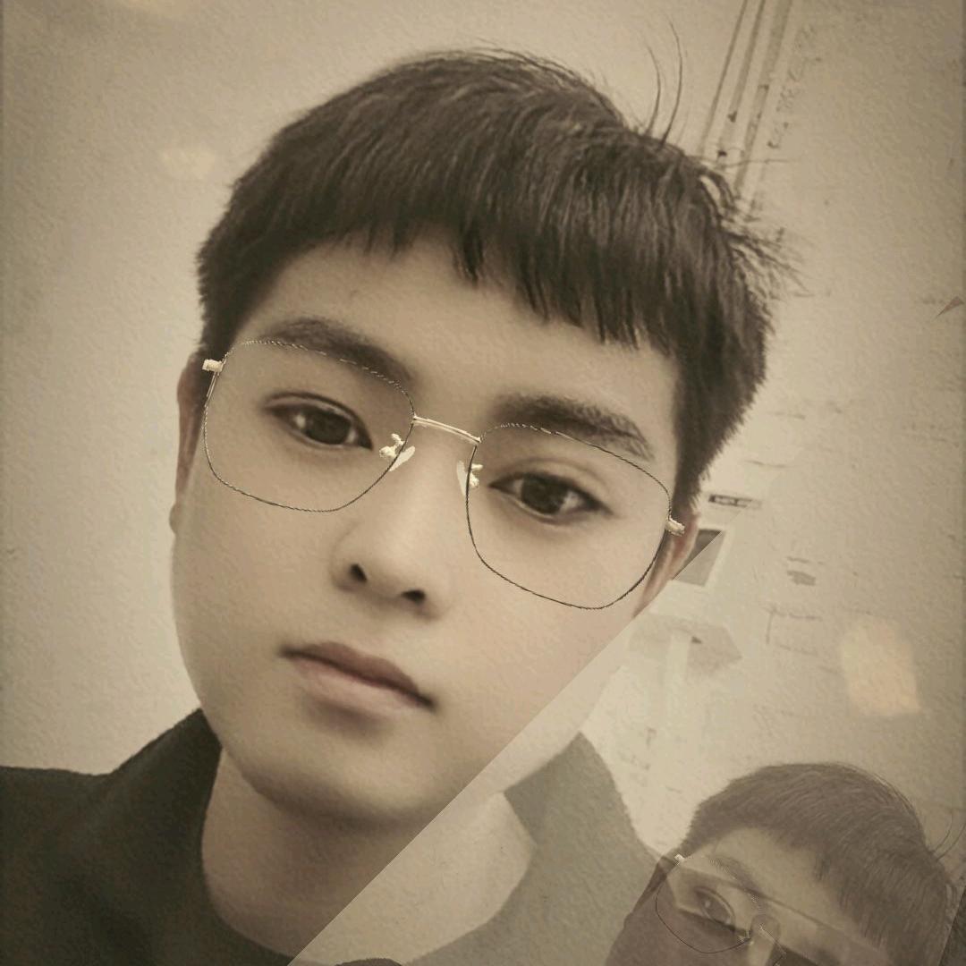 Z_D坚