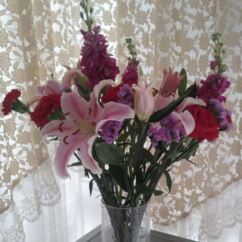 蝶恋花