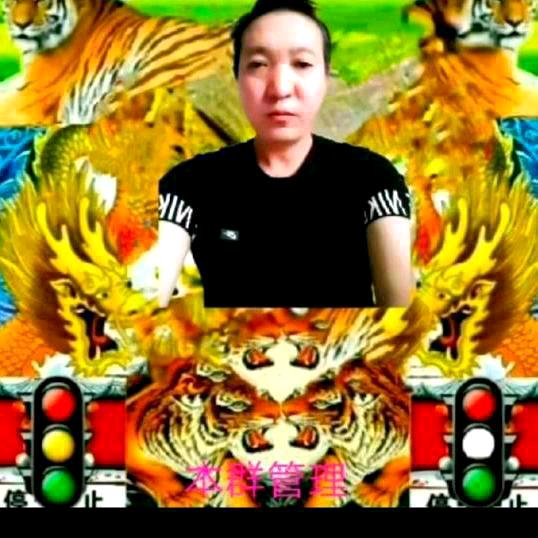 单身神仙老陈