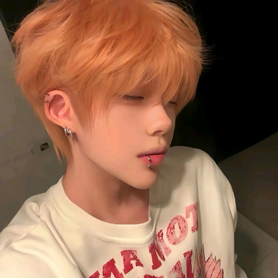 YalLp