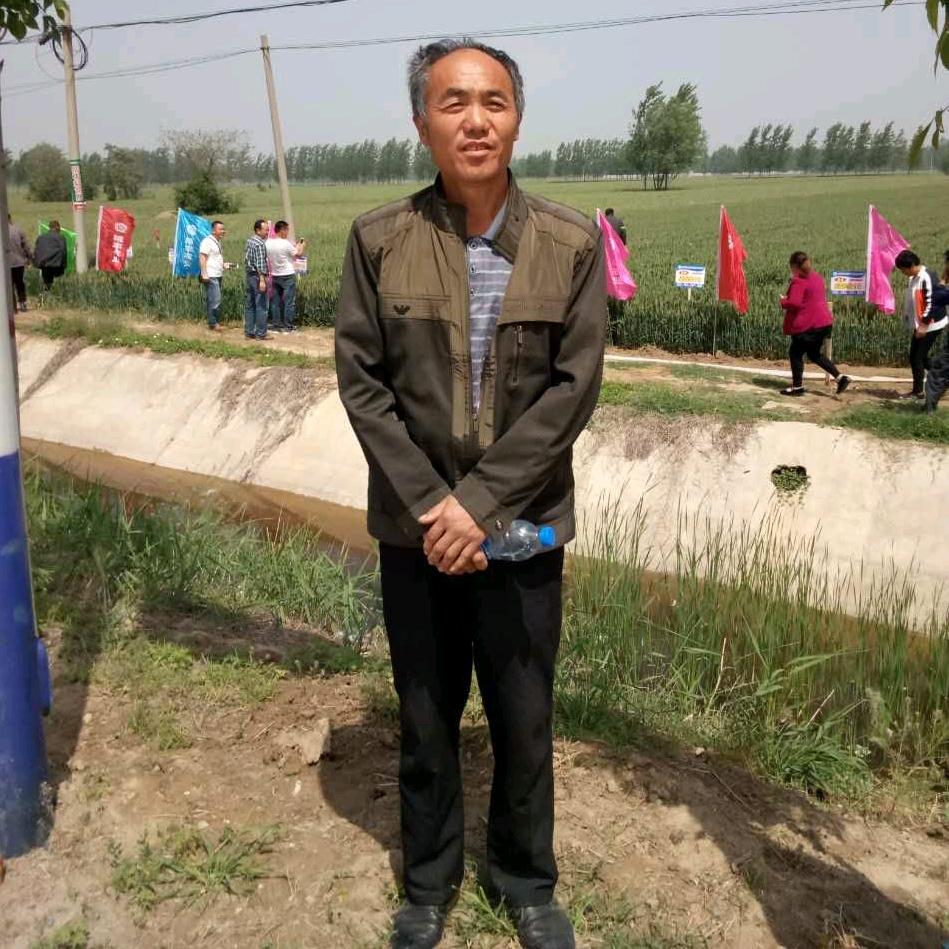 许新杰