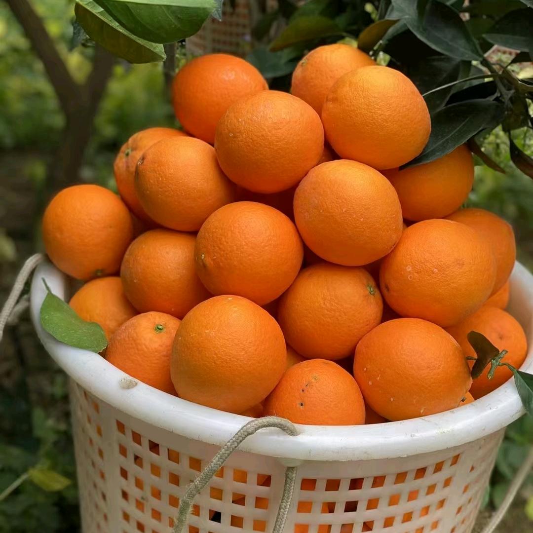 文笔秀峰鲜果园