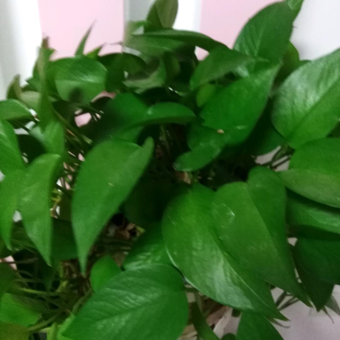 今天是个好日子。