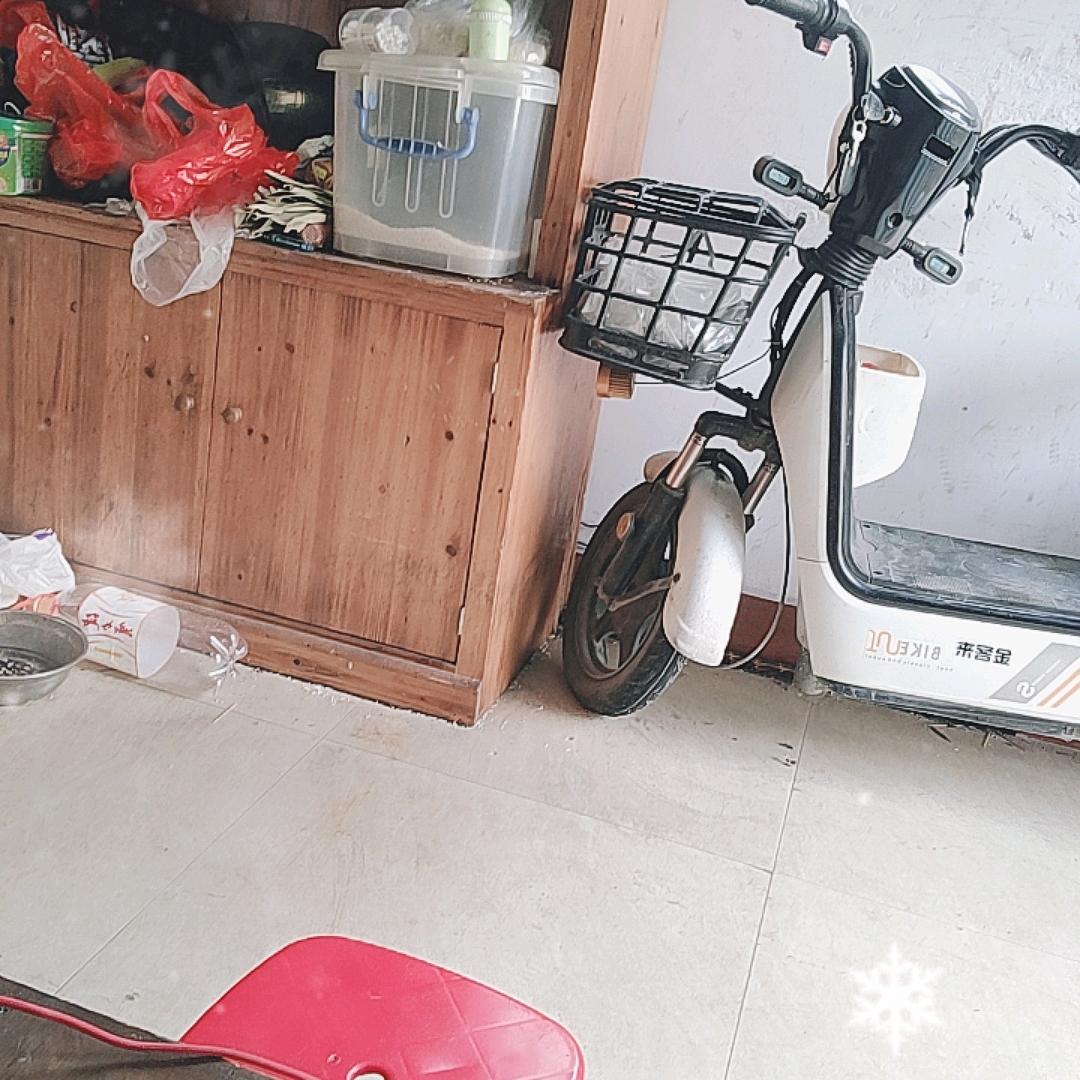 花舞人间