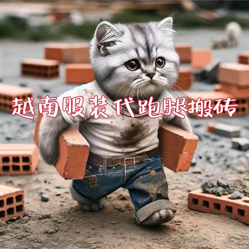 刚哥越南🇻🇳外贸服装