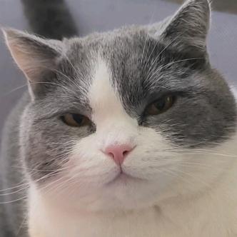 重生之我是仙人球