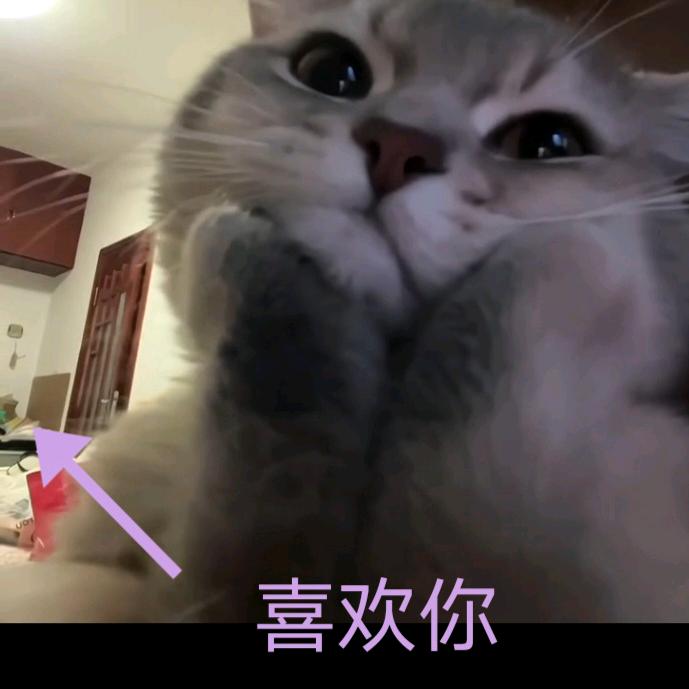 流星yyds