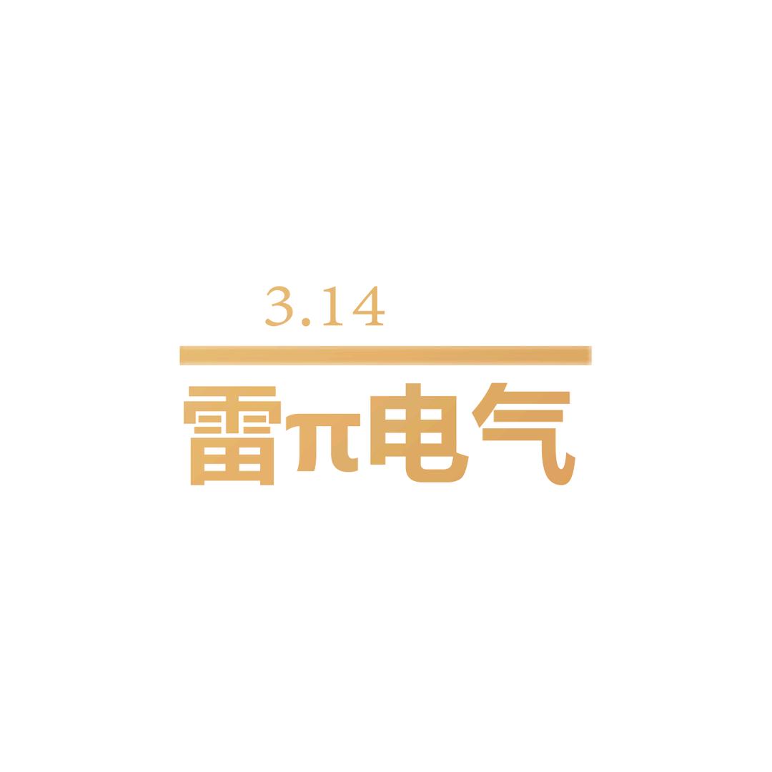 雷牌电气