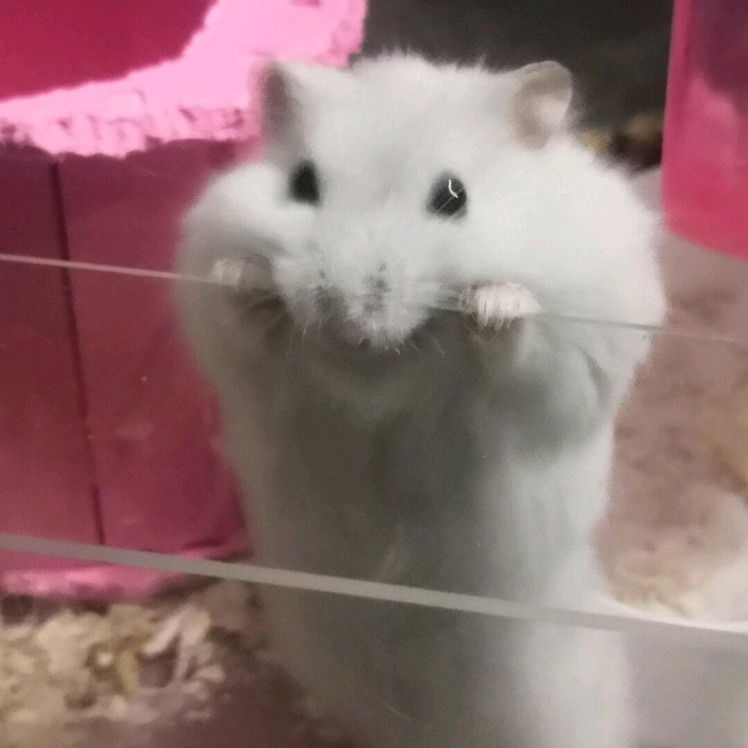 小裕