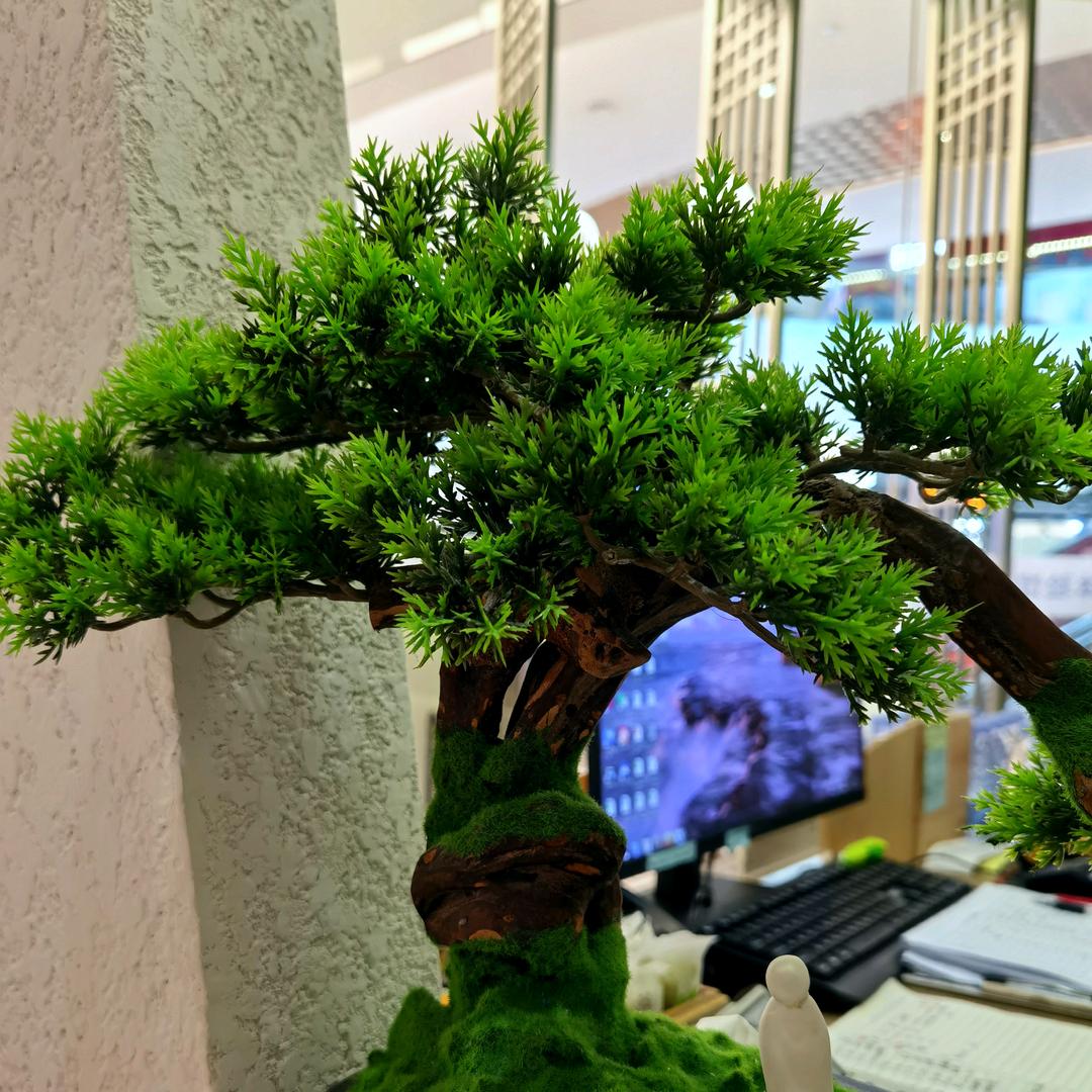 我从前是耳艺师