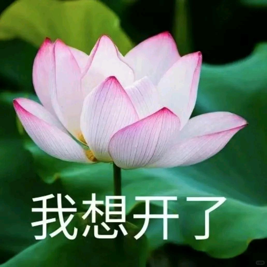 财神爷的心上人