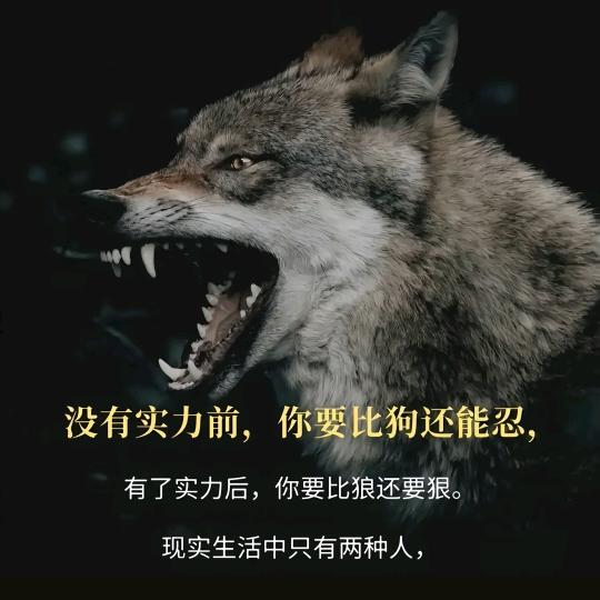 老溜在长沙