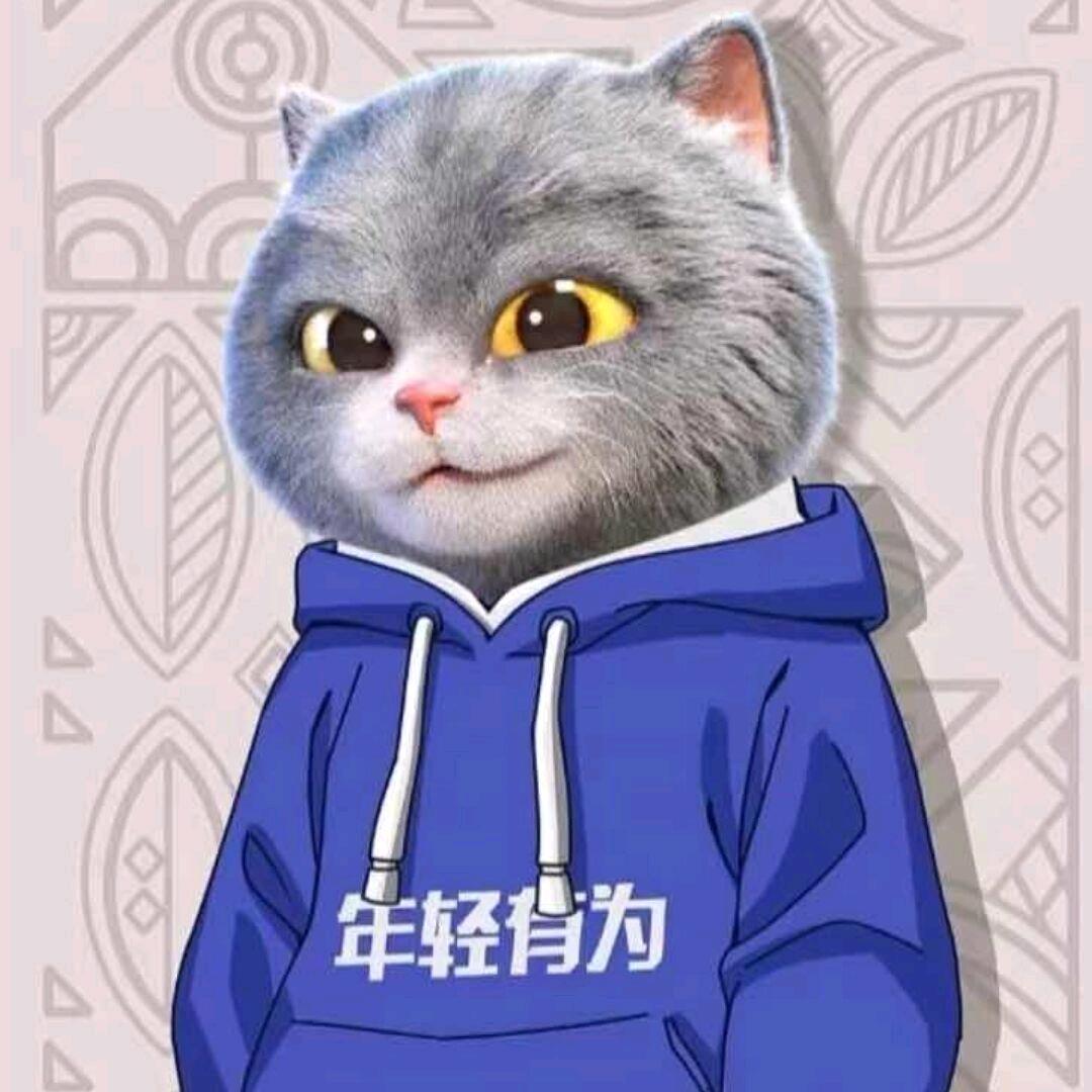 小金教练