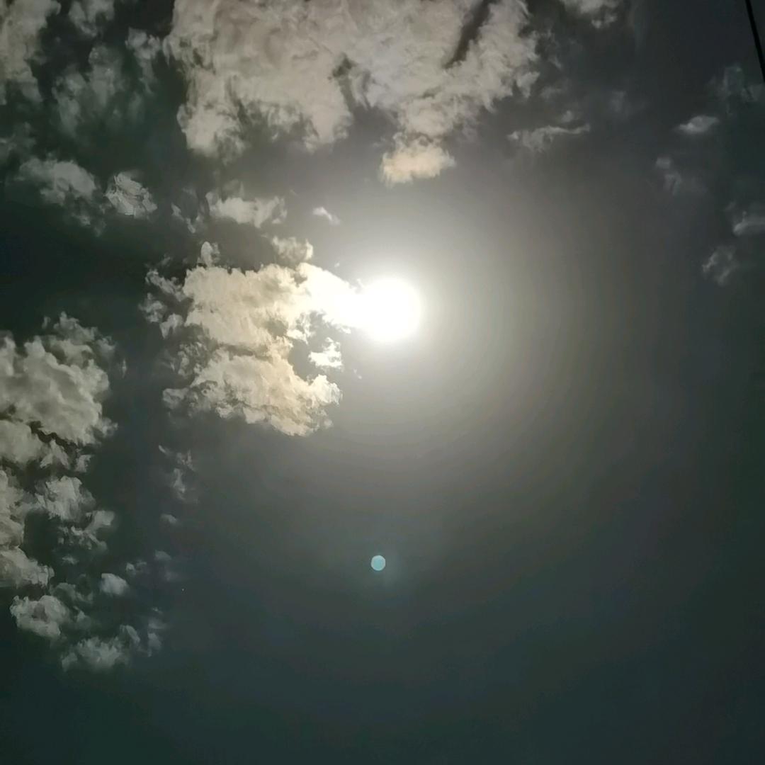 海海人生