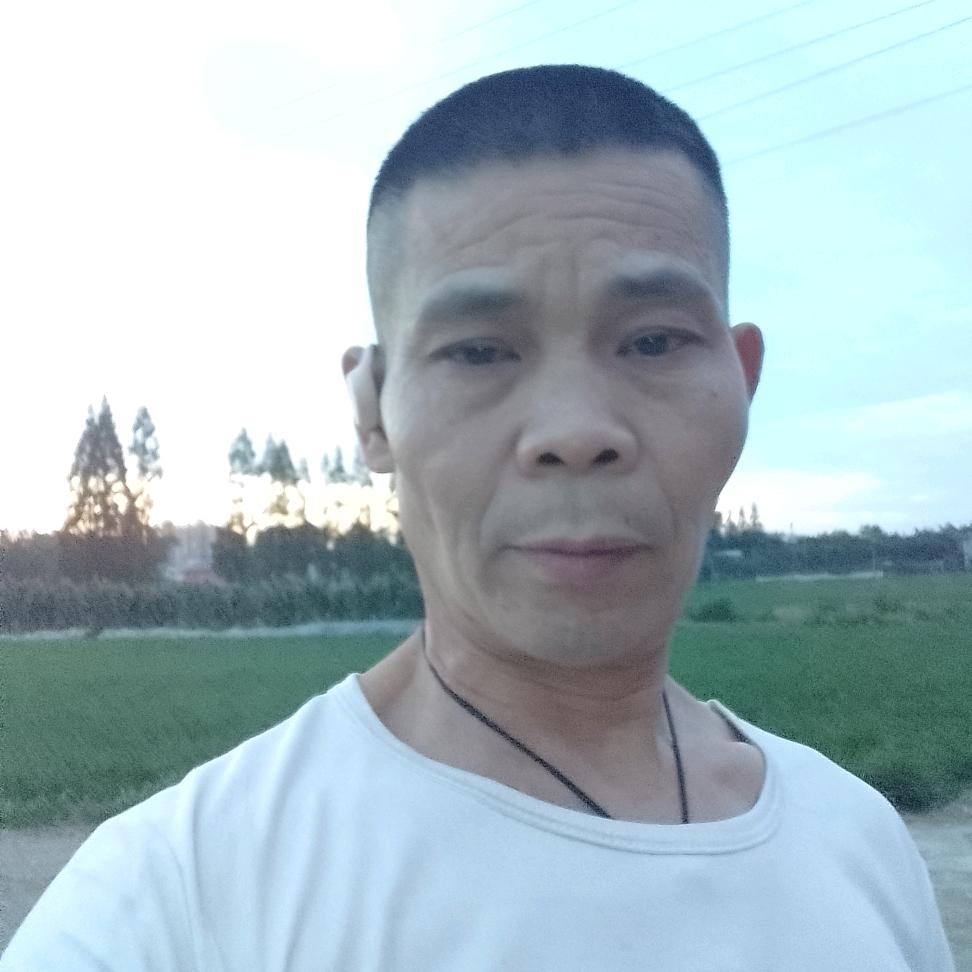 波哥的人生