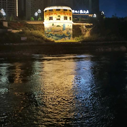 杨 树