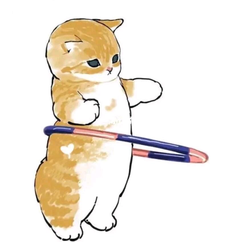 猫咪爱跳舞💃🏻😎
