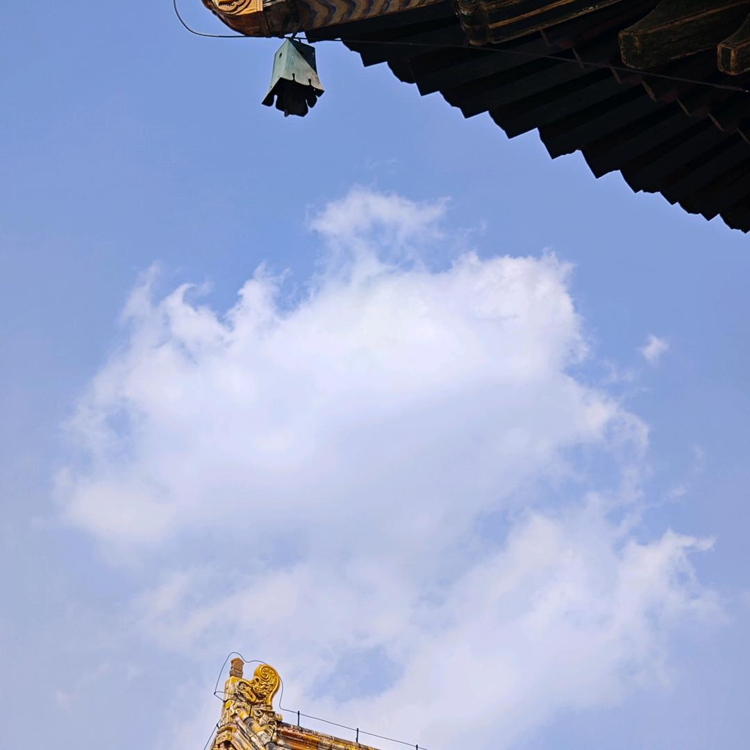 随风者