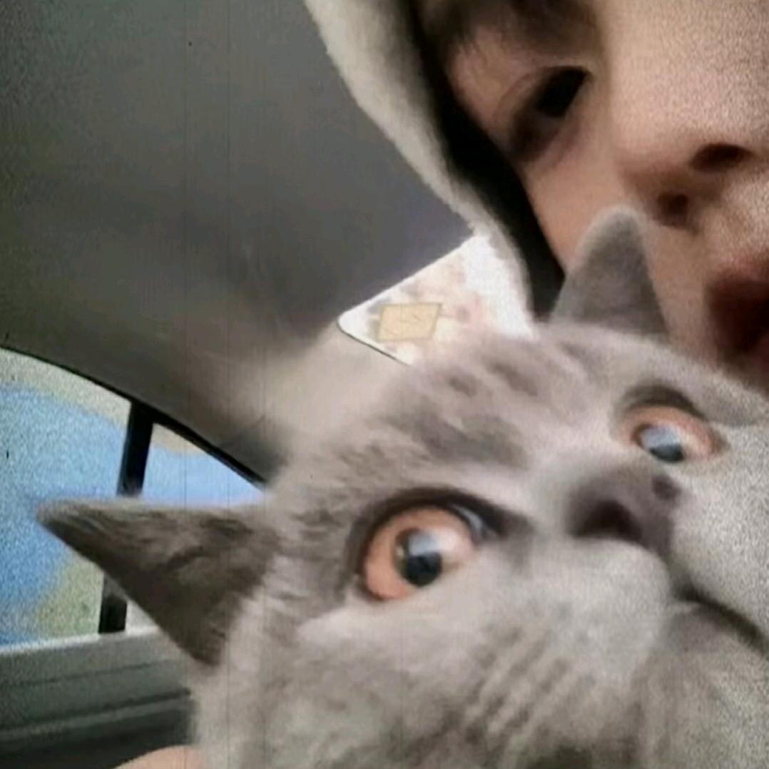 开心的绿色麦当劳