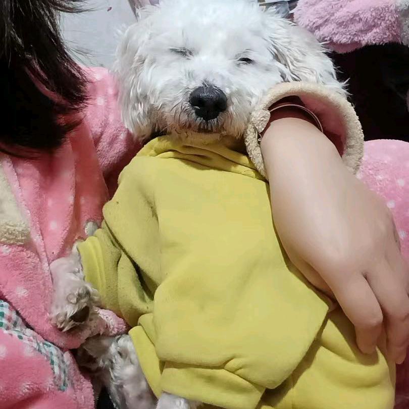 小慧呀💋