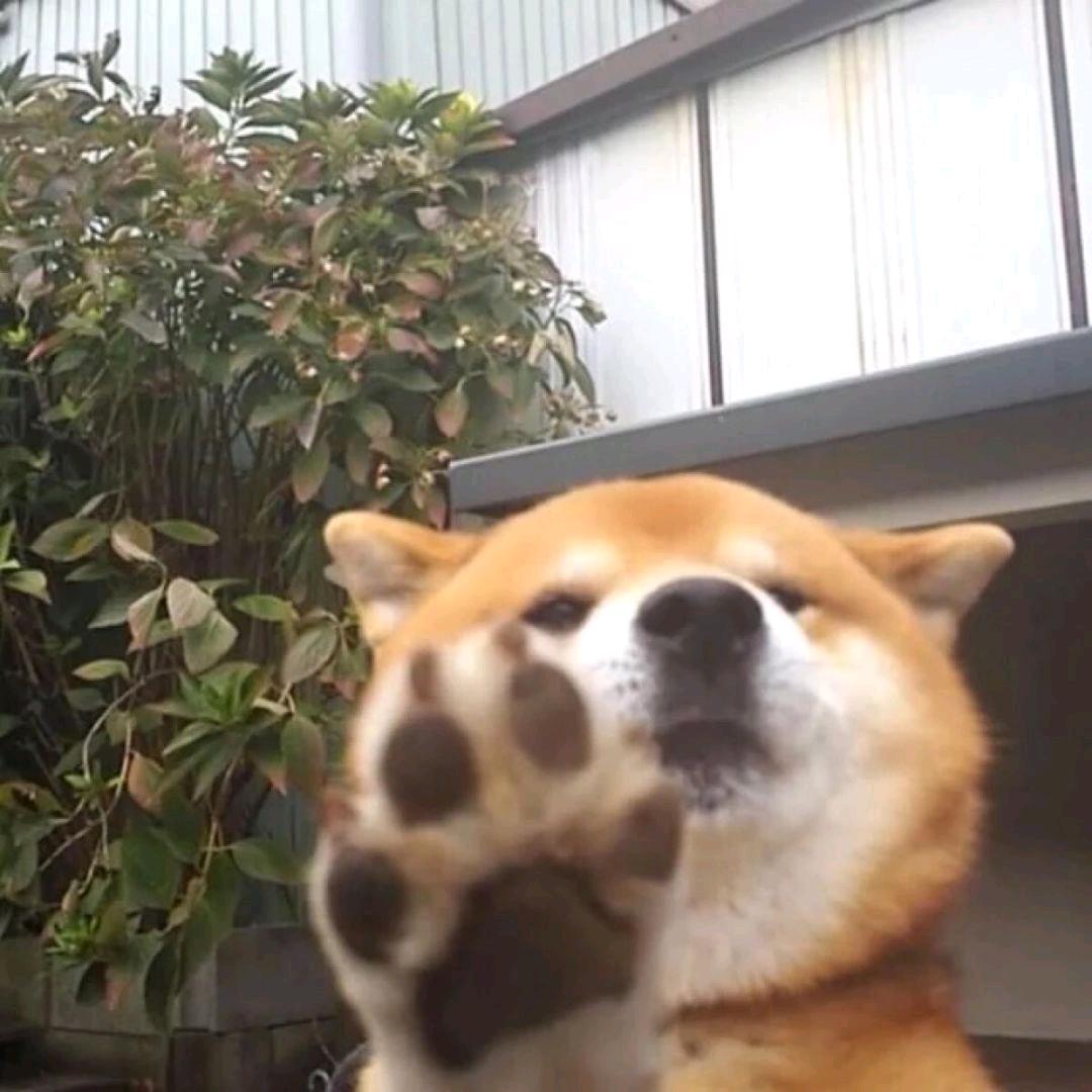 十八