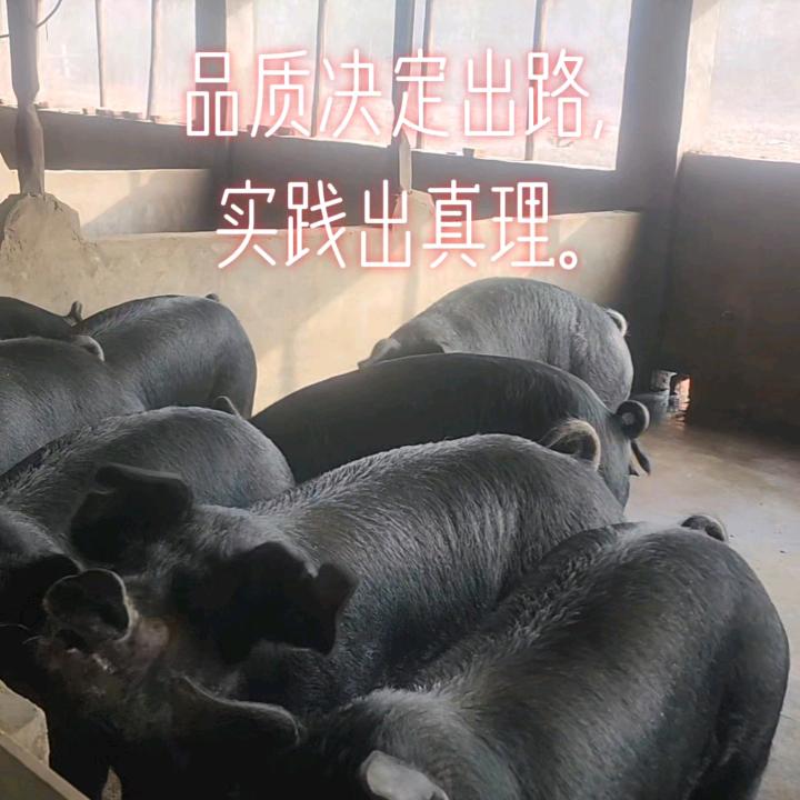农兴生态家庭农场