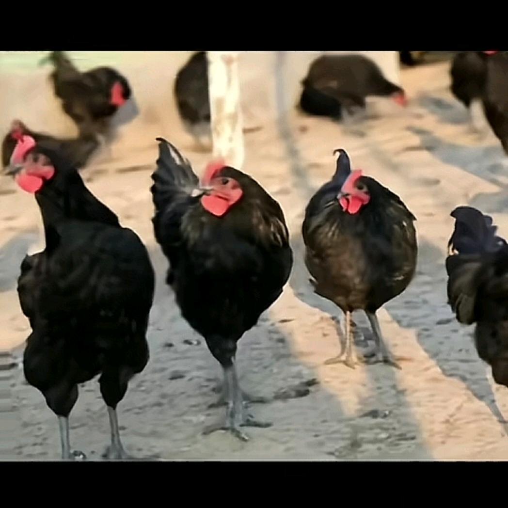 禾风晓舍家庭农场