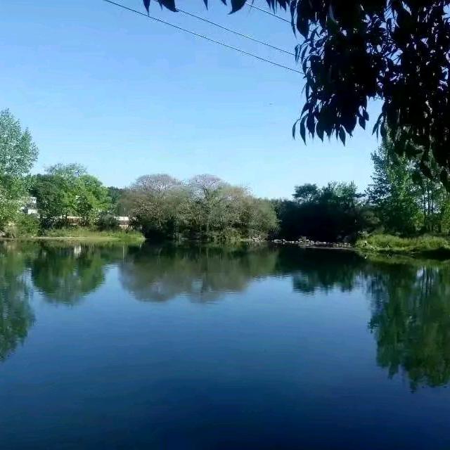 追逐梦想，永不后退