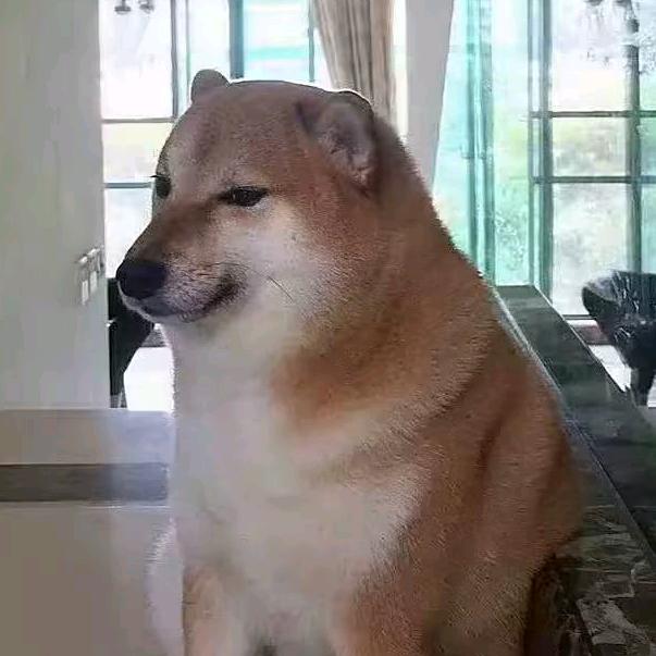 搞笑小黄狗