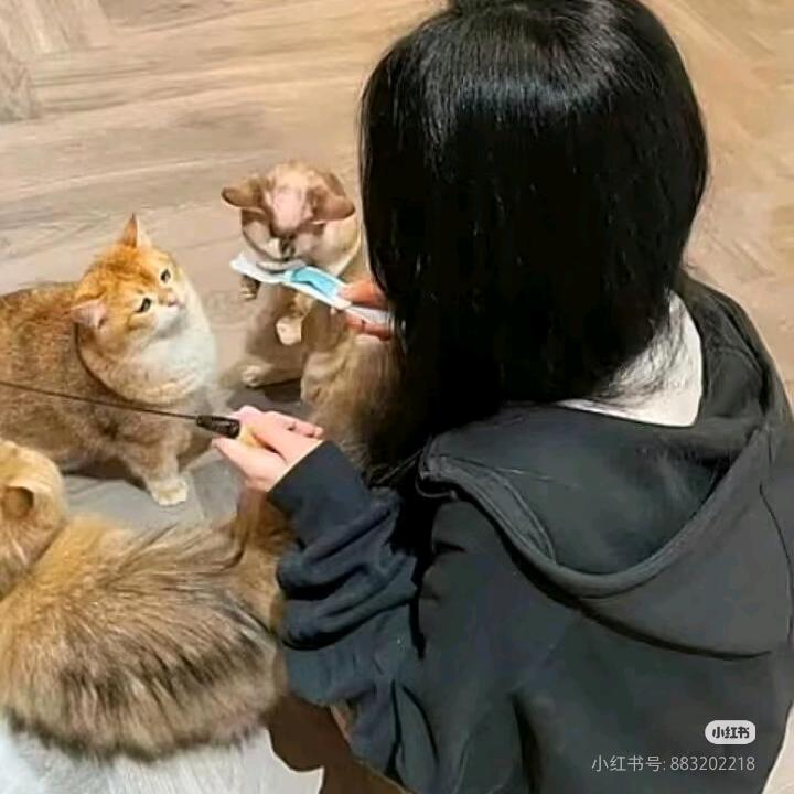 ～不知道叫啥～