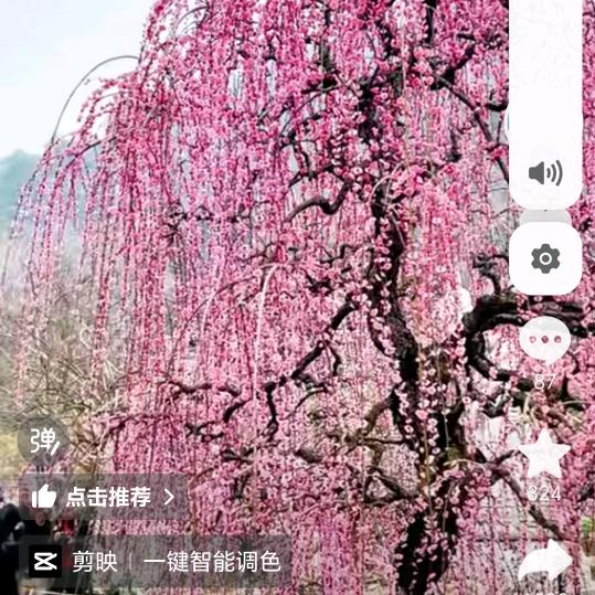 陈