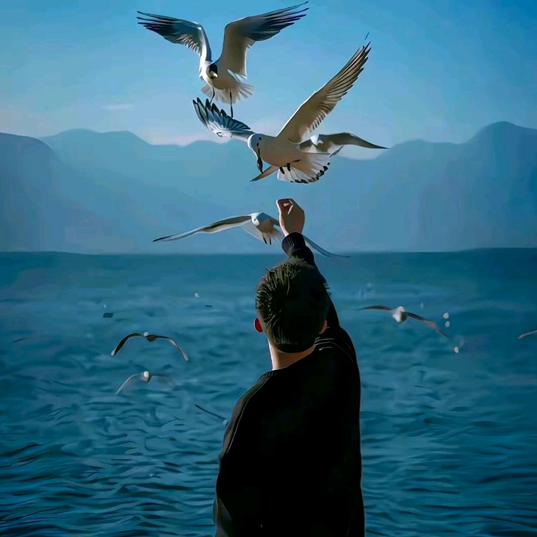 苏F爱格同城牵线3号