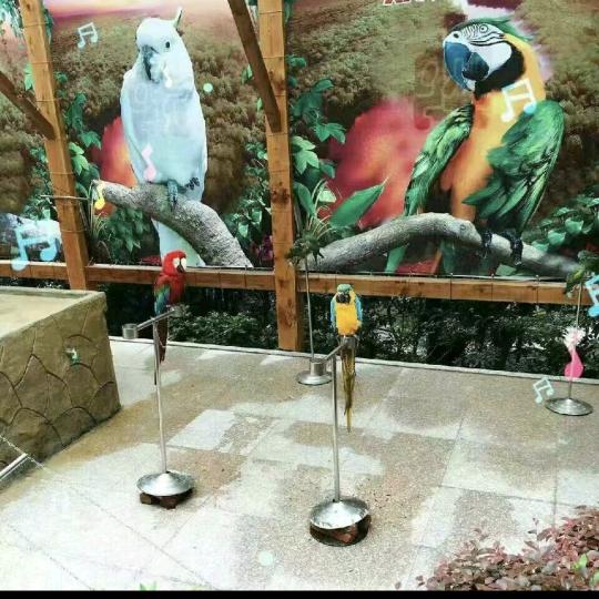 爱恨情仇皆放下，从此孤身走天涯。