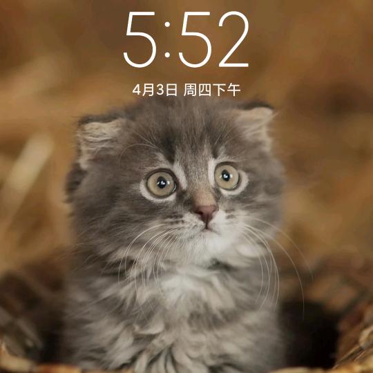 飞沙走石