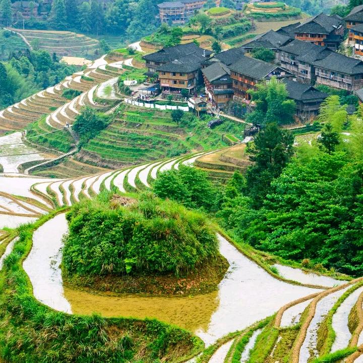 坚波🇨🇳🇨🇳