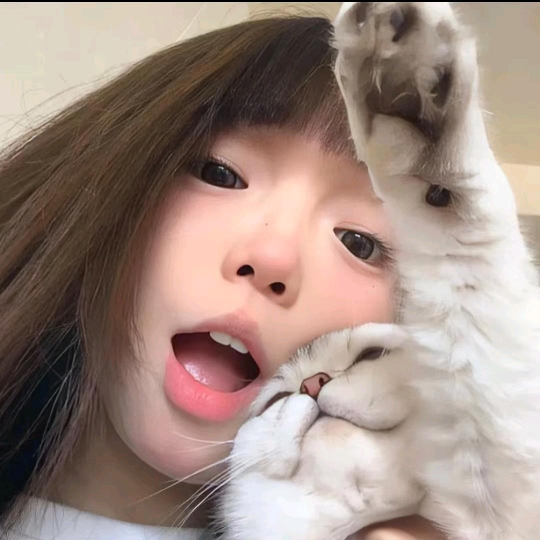 呆呆鱼