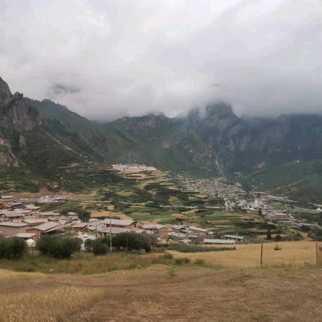成默是金