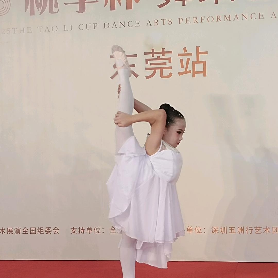 中国舞荧宝