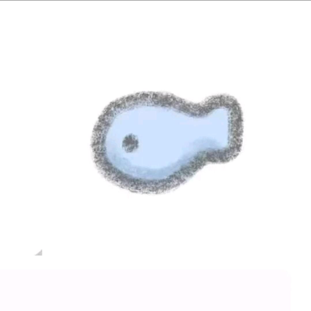 树懒