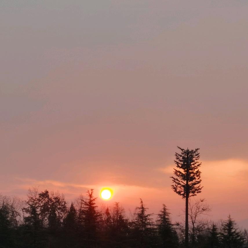 🥂来杯快乐📿