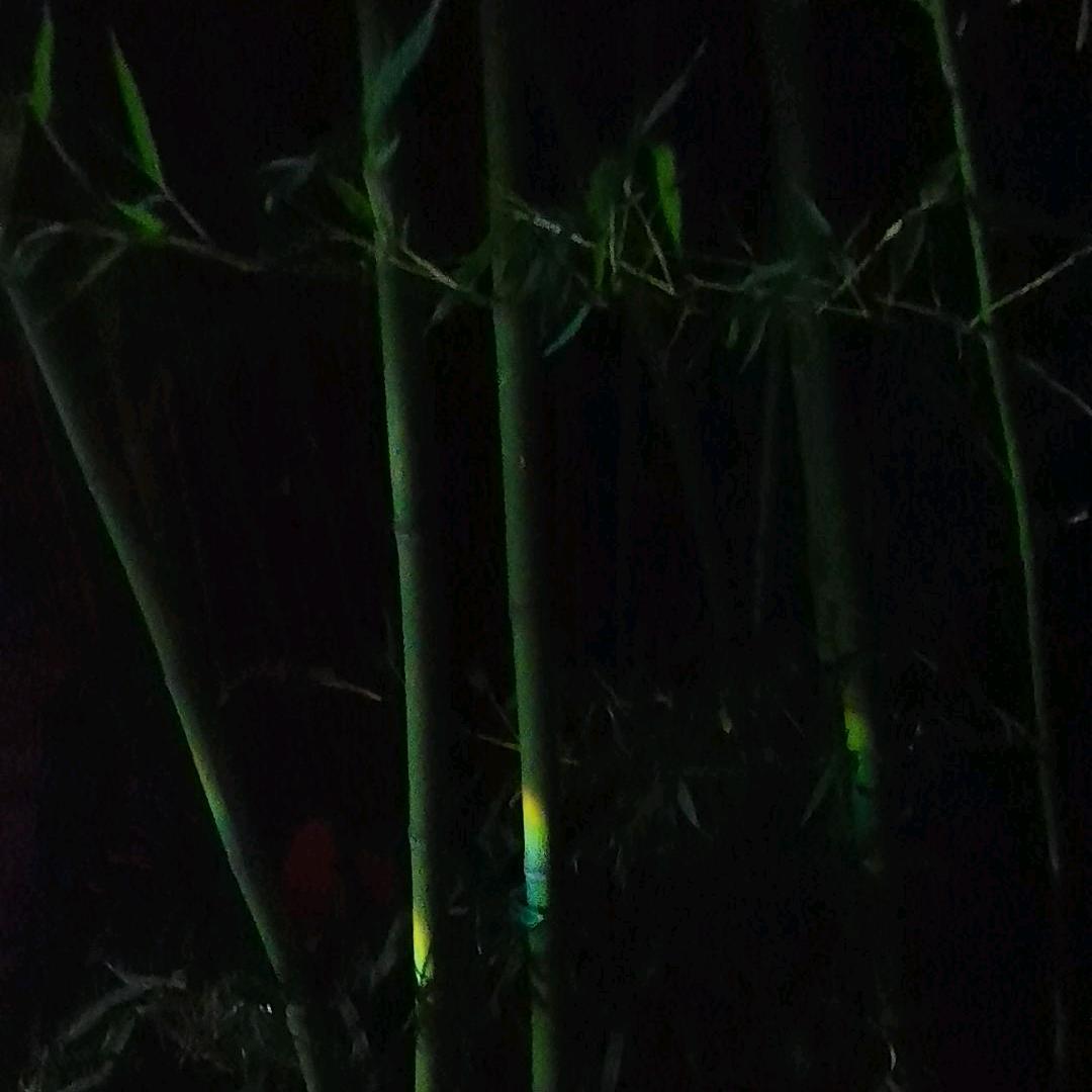 小板凳