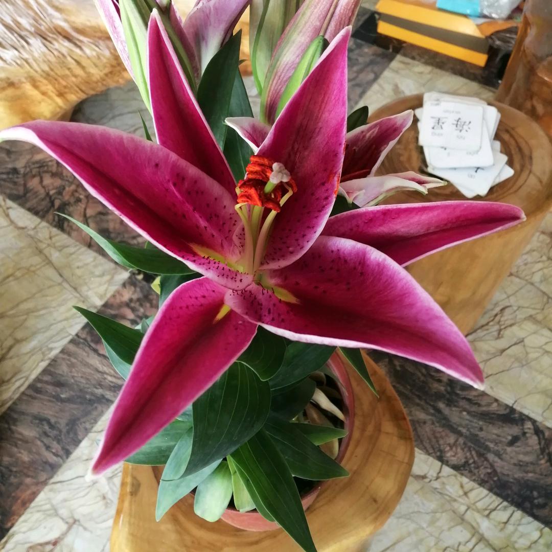 风雨同路🇨🇳