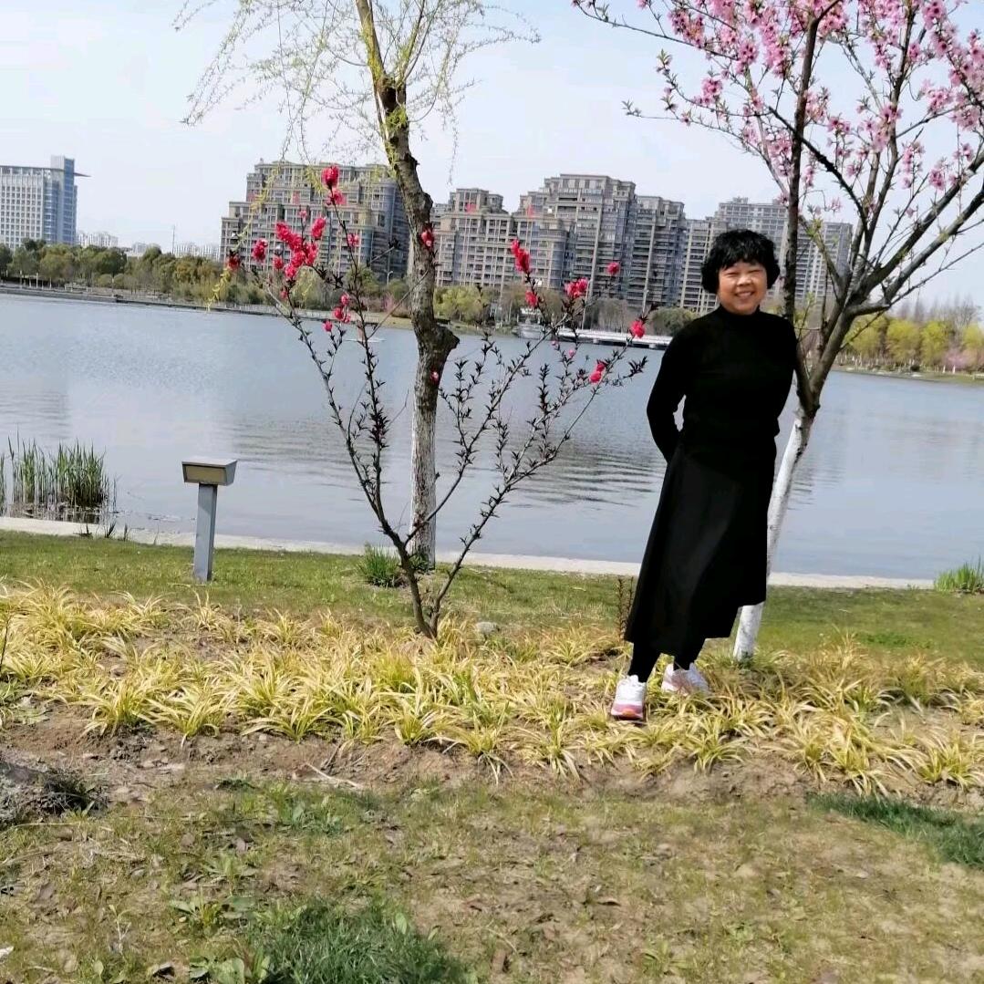 阳阳2019