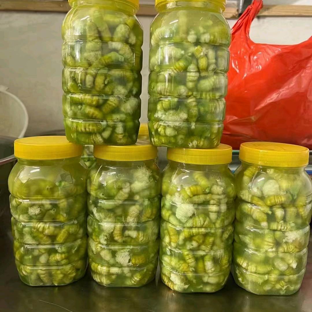 苏雯(豆丹长年批发零售)