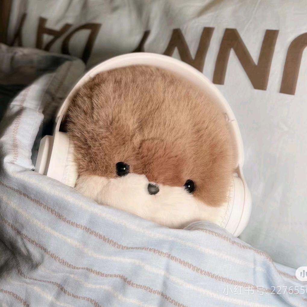 狡诈的建华妹妹