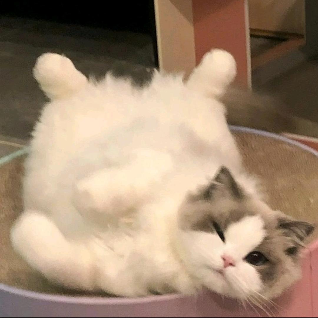 祝你鱼块