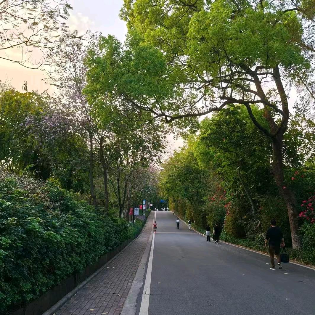 芋头丸子